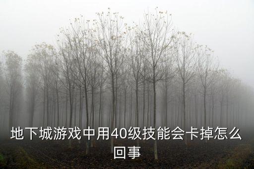 地下城游戏中用40级技能会卡掉怎么回事