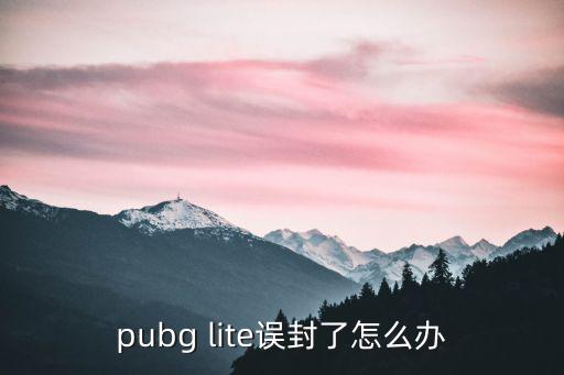 pubg lite误封了怎么办