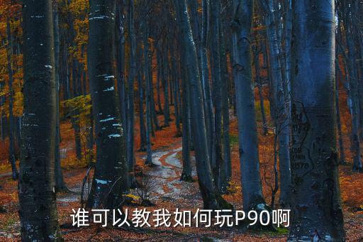 谁可以教我如何玩P90啊