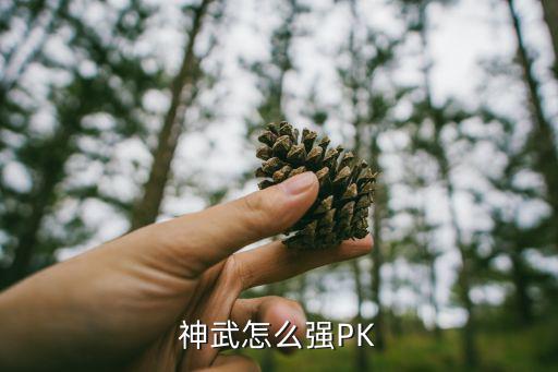 神武怎么强PK