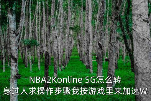 2k21 手游怎么跳步扣篮，NBA 2K11 怎么从罚球线扣篮呢