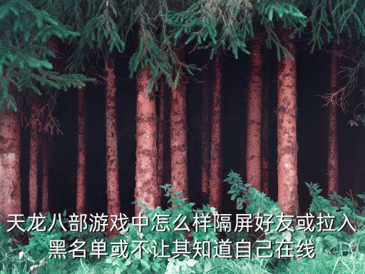 天龙八部游戏中怎么样隔屏好友或拉入黑名单或不让其知道自己在线