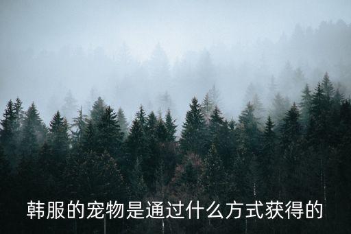 韩服地下城手游决斗场怎么得宠物，韩服的宠物是通过什么方式获得的