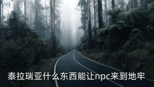 泰拉瑞亚什么东西能让npc来到地牢