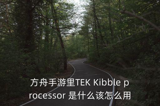 方舟手游里TEK Kibble processor 是什么该怎么用