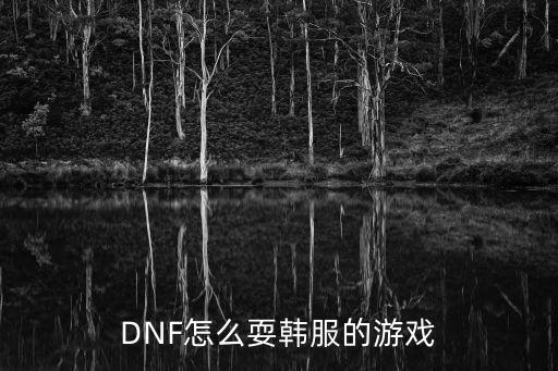 DNF怎么耍韩服的游戏