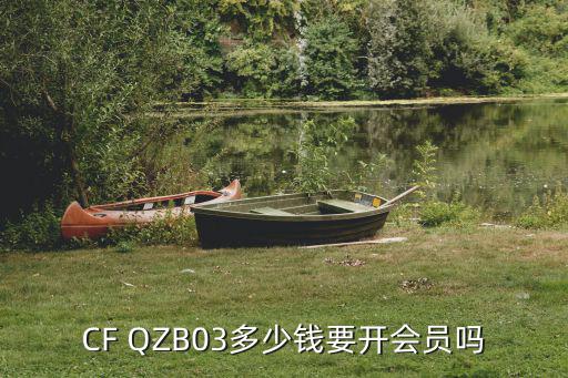 CF QZB03多少钱要开会员吗