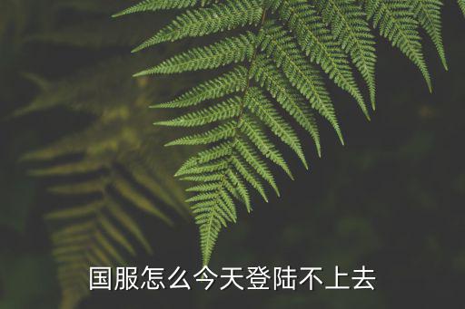 国服怎么今天登陆不上去