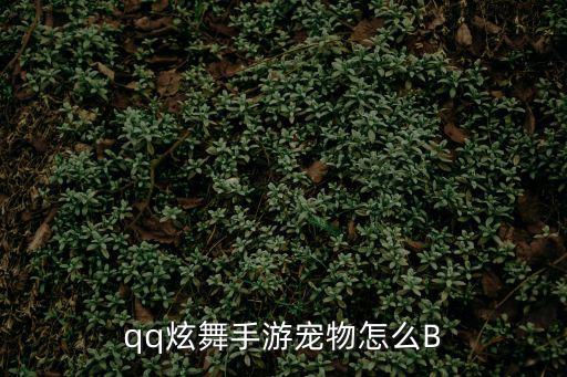 qq炫舞手游宠物怎么B