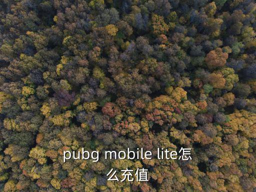 pubg mobile lite怎么充值