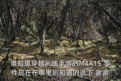 谁知道穿越火线手游的M4A1S 零件现在在哪里刷知道的说下 谢谢