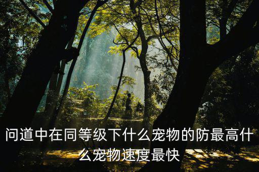 问道中在同等级下什么宠物的防最高什么宠物速度最快