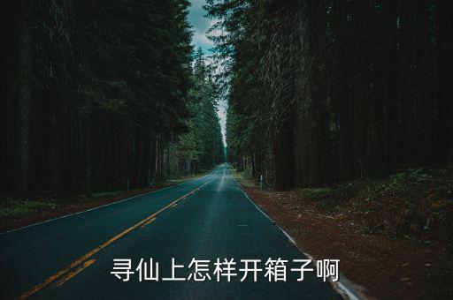 寻仙上怎样开箱子啊