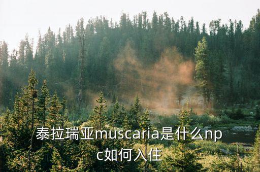 泰拉瑞亚muscaria是什么npc如何入住