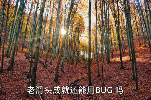 老滑头成就还能用BUG 吗