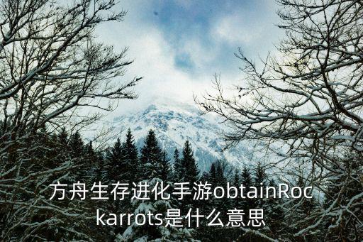 方舟生存进化手游obtainRockarrots是什么意思