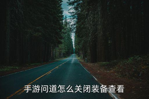 手游问道怎么关闭装备查看