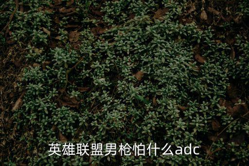 英雄联盟男枪怕什么adc