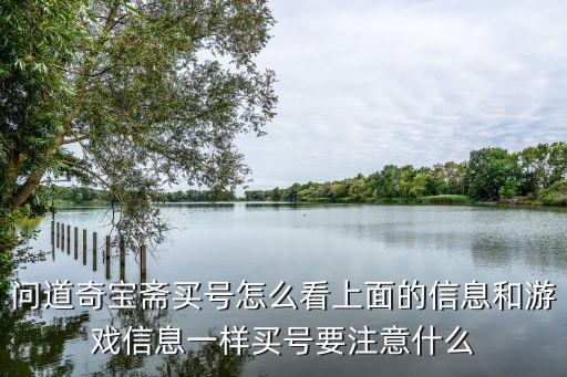 问道奇宝斋买号怎么看上面的信息和游戏信息一样买号要注意什么