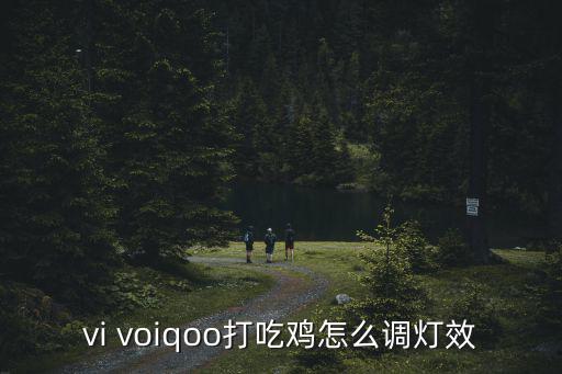 vi voiqoo打吃鸡怎么调灯效