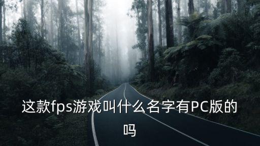 这款fps游戏叫什么名字有PC版的吗