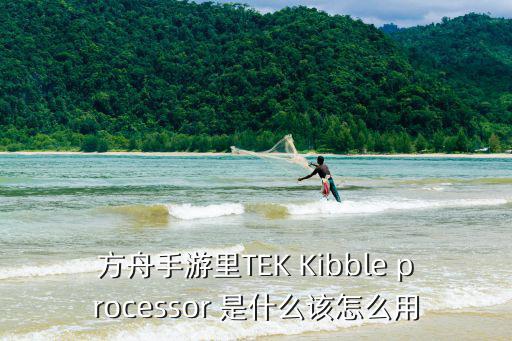 方舟手游里TEK Kibble processor 是什么该怎么用