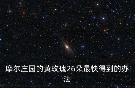 摩尔庄园的黄玫瑰26朵最快得到的办法