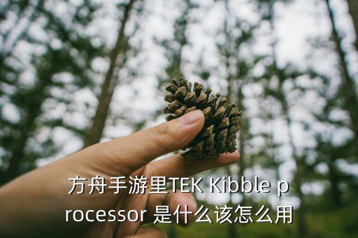 方舟手游火山神器怎么得，方舟手游里TEK Kibble processor 是什么该怎么用