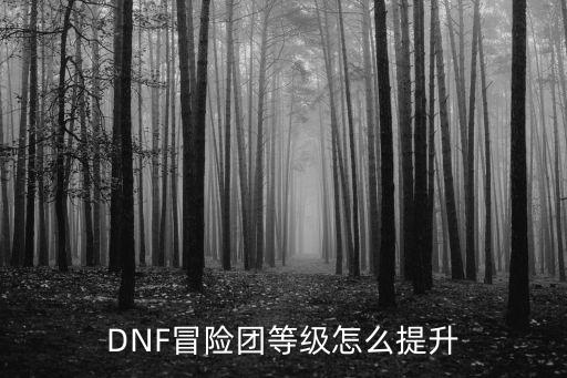 DNF冒险团等级怎么提升