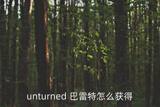 unturned 巴雷特怎么获得