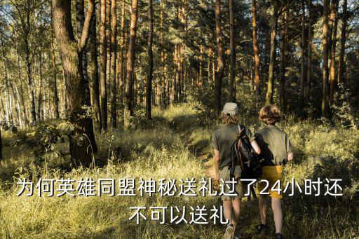 为何英雄同盟神秘送礼过了24小时还不可以送礼