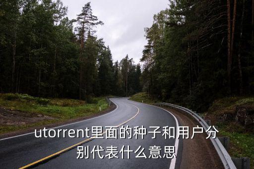 utorrent里面的种子和用户分别代表什么意思