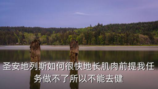 圣安地列斯手游怎么变强壮，圣安地列斯如何很快地长肌肉前提我任务做不了所以不能去健