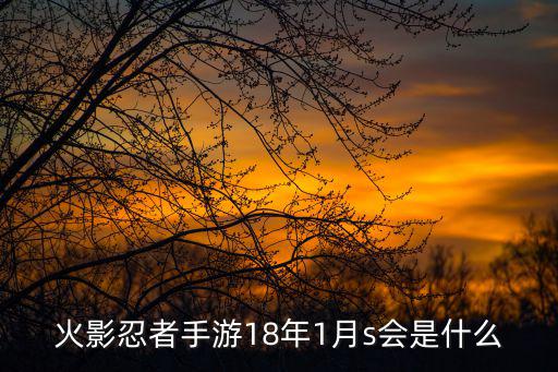 火影忍者手游18年1月s会是什么