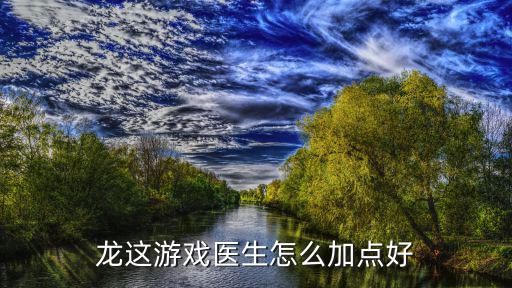 龙这游戏医生怎么加点好