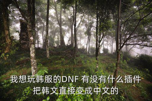 我想玩韩服的DNF 有没有什么插件把韩文直接变成中文的