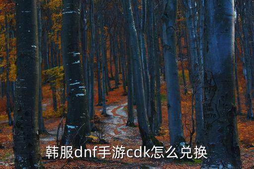 韩服dnf手游cdk怎么兑换