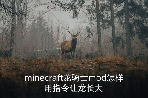 minecraft龙骑士mod怎样用指令让龙长大