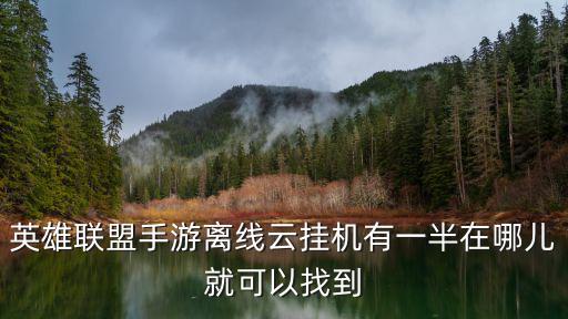 英雄联盟手游离线云挂机有一半在哪儿就可以找到