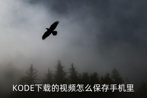 KODE下载的视频怎么保存手机里