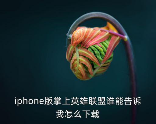 iphone版掌上英雄联盟谁能告诉我怎么下载