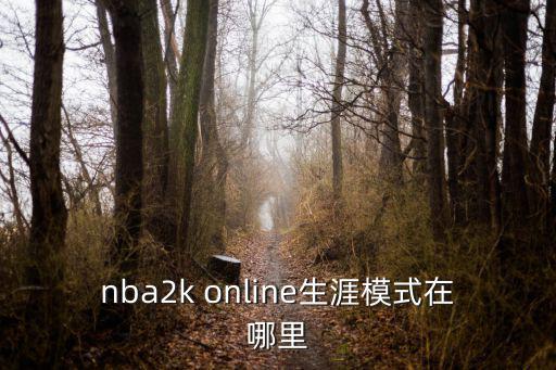 nba2k online生涯模式在哪里