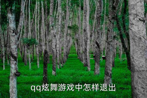 炫舞手游怎么关闭贵族，qq炫舞游戏中怎样退出