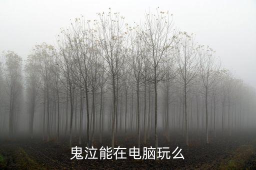 手游鬼泣在电脑怎么玩，鬼泣那一部能在电脑上玩如何下载要中文版的下载