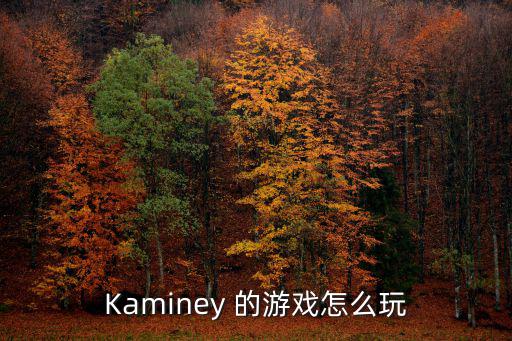 Kaminey 的游戏怎么玩