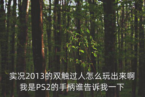 实况2013的双触过人怎么玩出来啊我是PS2的手柄谁告诉我一下