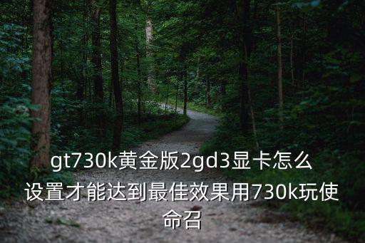 gt730k黄金版2gd3显卡怎么设置才能达到最佳效果用730k玩使命召