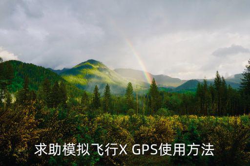 求助模拟飞行X GPS使用方法