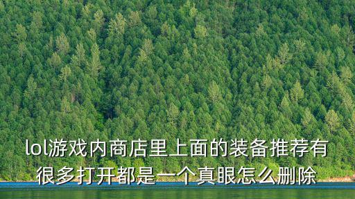 lol游戏内商店里上面的装备推荐有很多打开都是一个真眼怎么删除