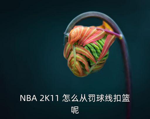 NBA 2K11 怎么从罚球线扣篮呢